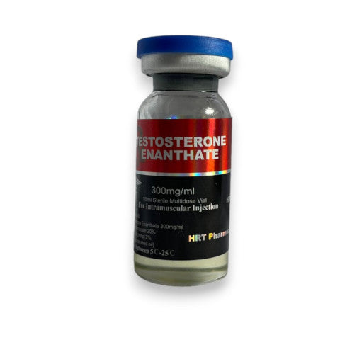 TESTOSTERONE ENANTHATE - 300 mg / ml - Intramuscular